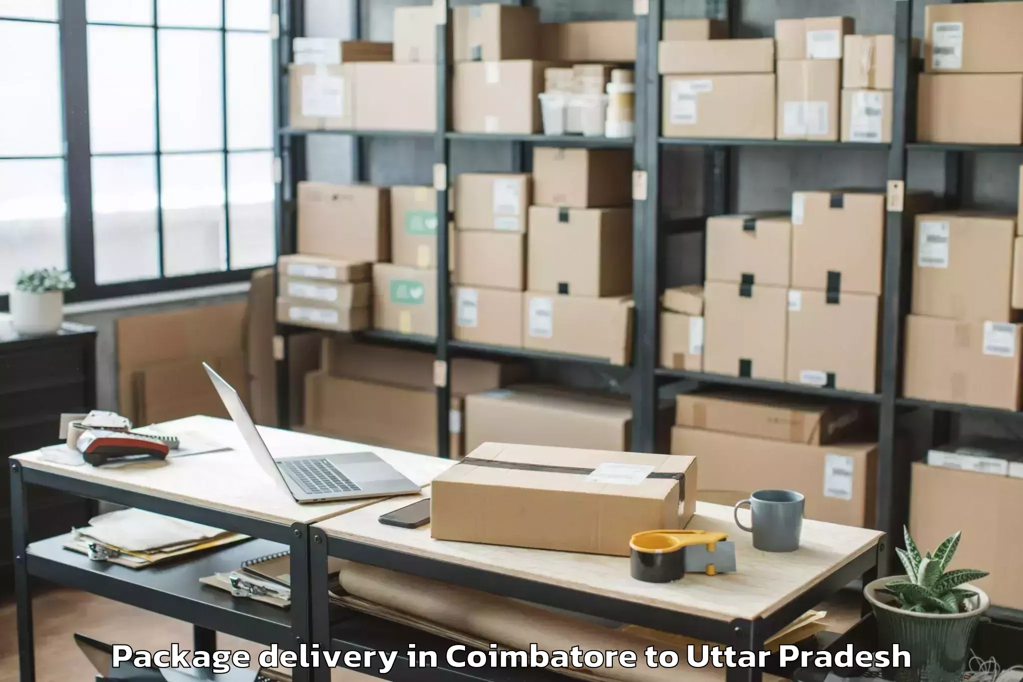 Book Coimbatore to Bilthra Package Delivery